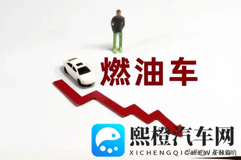 不同市场环境下五年后燃油车的生存状况分析报告-1