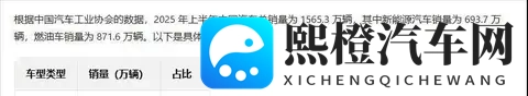 买油车因为保值?这可能是2025年最大的消费陷阱-2