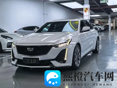 十八禁软件:汽车科技新动态:揭秘“不良应用”威胁-2