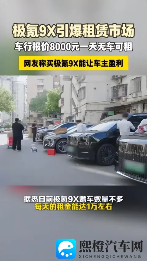闲鱼订单溢价25万,日租8000元抢先体验,极氪9X催生二级市场火热-2