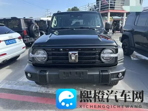 准新一手坦克300,18万多带你征服户外!-1