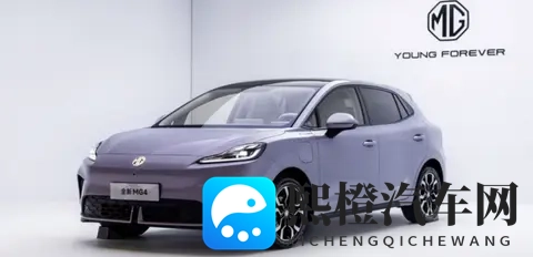 2025年前9个月爆款车型top10-2