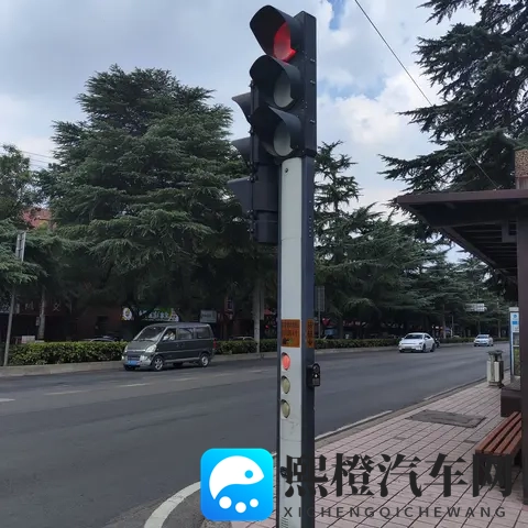 从斑马线礼让行人看路权之争:既是守法也是生存智慧-3