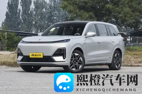 6座SUV越来越火,预算30万以内,深蓝S09值得看看!-3