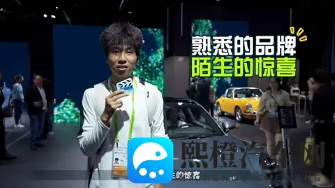 进博会全勤生打造最强汽车IP：大众汽车集团与中国用户玩在一起-1