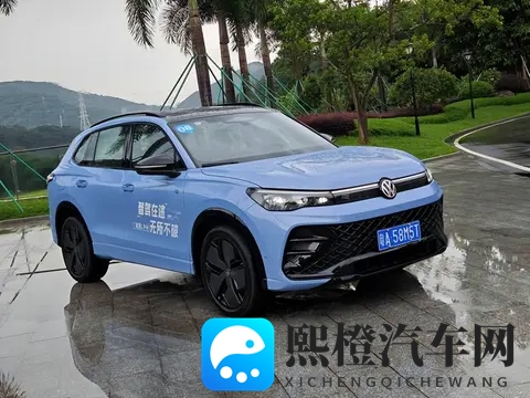 为什么VW家的高饱和度、鲜艳的广告色车,往往都是滞销的?-1
