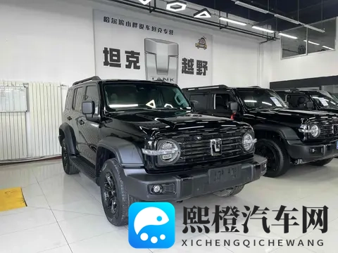 准新坦克300：2万公里，圆你越野梦！-3