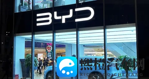 比亚迪丢了“王冠”,销量起伏的那些事,未来会咋样-3