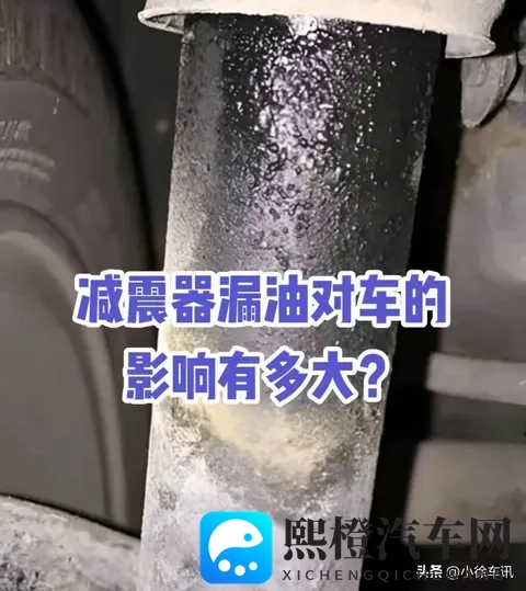 色多多：新能源汽车新秀，引领潮流，未来之星瞩目-2