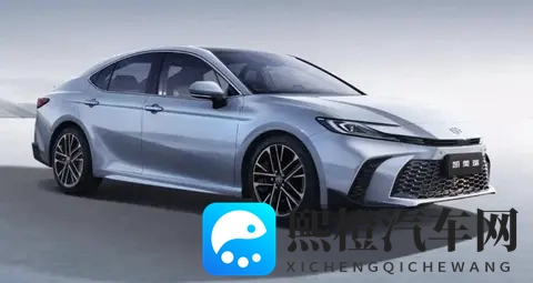 Japanese老师丰满多毛:日本教师身材丰腴,体毛浓密引人注目-2