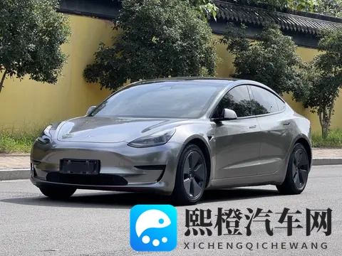 10万出头，圆你特斯拉梦！Model3代步通勤值不值？-2