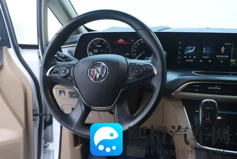 二手别克GL8：2021款陆尊，6万公里，宜商宜家，性价比之选？-2