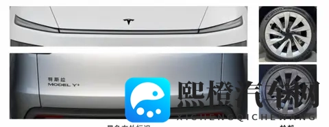 特斯拉新车型搅局 后驱版低价高续航掀起买车大讨论-2