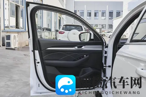 提星瑞半月成焦点!20T+8AT,67 万车主选的国民好车-1