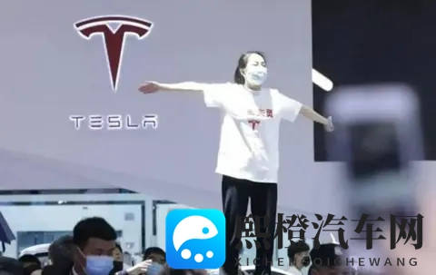 同行车企重拳打击黑公关，特斯拉法务部为何微博零条零互动？-3