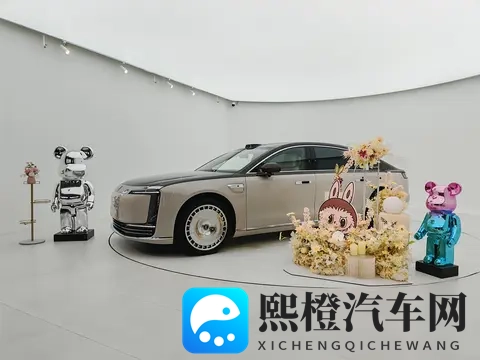 厦门尊享会:尊界s800护底板升级-1