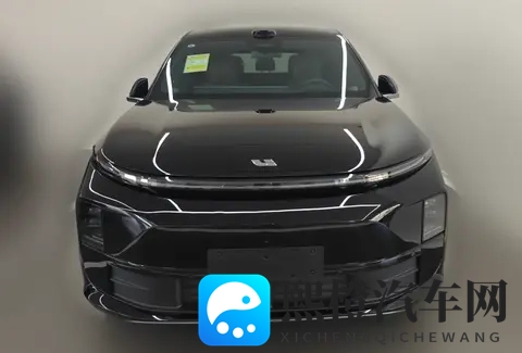 理想L6:男女老少通吃,客户共同点是没有6座需求-1