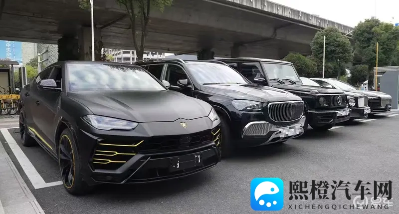 豪车车主挤爆岚图店!泰山引土豪竞折腰-1