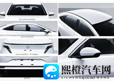 黄色软件在哪下载：寻找黄色软件，下载途径一网打尽-2