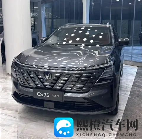 国人最爱买的10款SUV!第一名是?-3