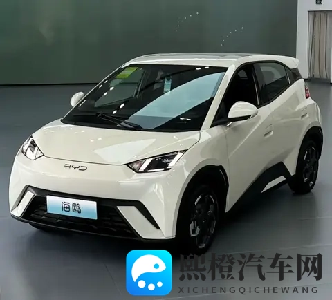 海鸥真实口碑:优点夸到停,缺点吐槽声从没断-2