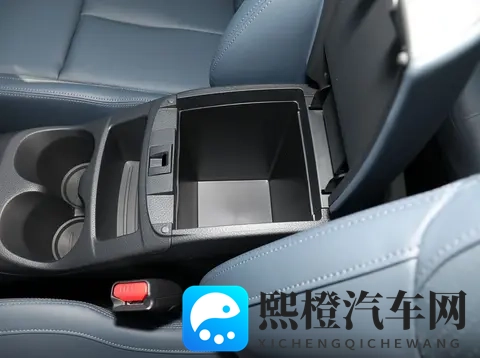 国产乱人伦：汽车市场乱象：揭秘国产车质量问题与对策-1