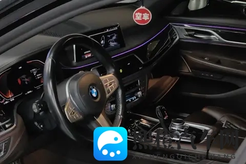 2019款宝马730Li，76万公里，358万，尊享旗舰座驾-3