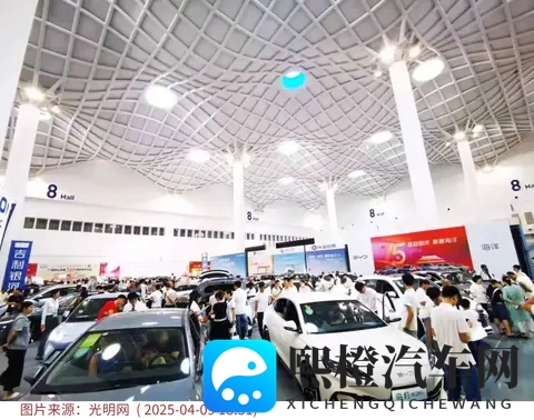 从全免到减半:购置税调整下的新能源车变局-2