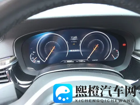 20万拿下宝马5系？19款530Li，圆你蓝天白云梦！-2