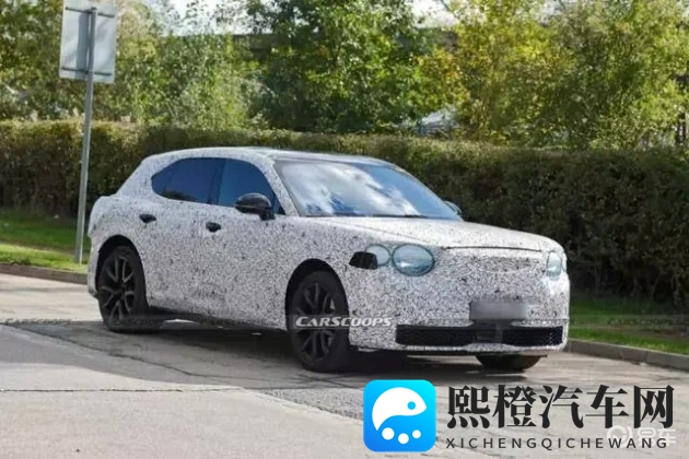 女人与公豬交交酡:新能源汽车命名引发关注,独特设计引领潮流-1