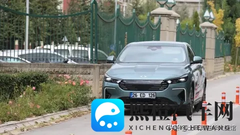 秋葵草莓绿巨人丝瓜www:秋葵草莓绿巨人丝瓜美食大集合-2