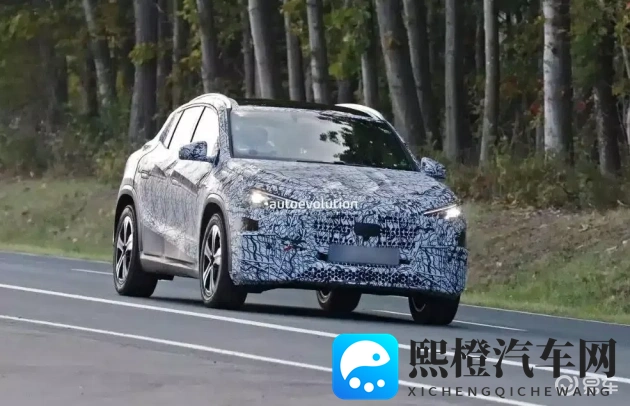 软件黄：汽车软件革新，用户体验成焦点-3