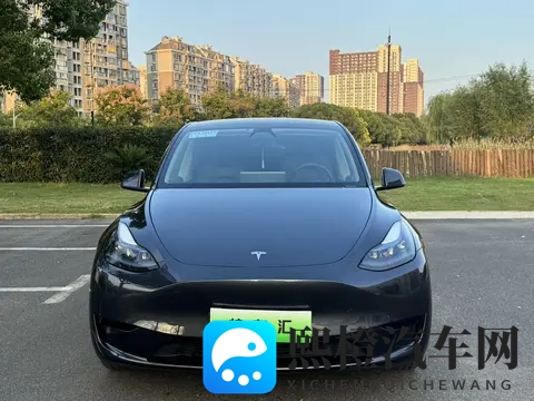 特斯拉Model Y准新车：66万公里，2259万开回家！-2