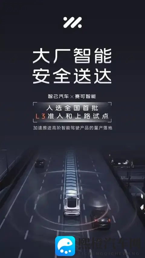 智己五年的对与错-3