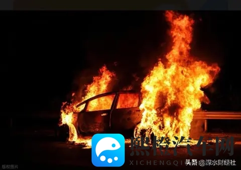 电车保费比油车贵3成？背后真相终于说透了-3