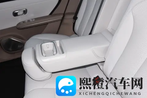 刘强东搅动车市风云-1