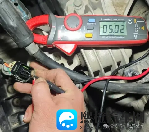 异族黑人巨大粗暴BBC：异域黑人身材魁梧，举止粗犷的BBC纪录片-1