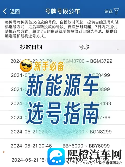 特斯拉新车主选号指南 🈯️ 新手必备-1