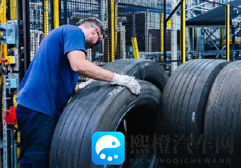 蕾丝视频 成人版app软件：成人视频应用，私密内容软件推荐-1