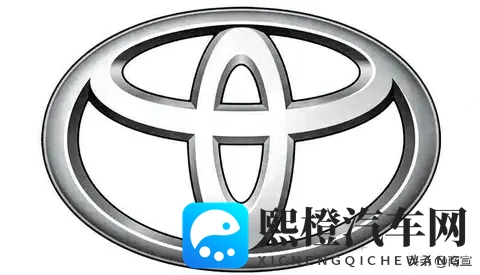 街头新车没标，是故意的？还是真没人认得？-2