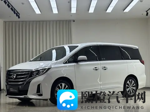 20款传祺M8,118万宜商宜家,奶爸升级MPV好选择-2