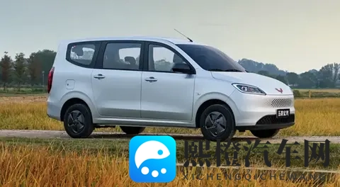 【E汽车】五菱宏光新款家族上市-3