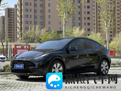 油车才是主宰,电车20年后会消失?车主的真实想法很现实-2