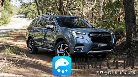 来看看澳大利亚最受欢迎的汽车-1