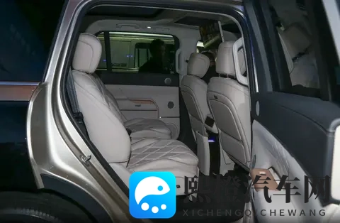 也要在大块头SUV里分一杯羹，奇瑞风云T11增程大六座，价格能打？-3