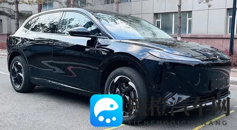 动力升级 新款红旗天工06申报信息出炉-2