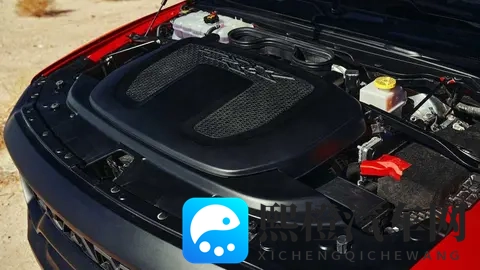 男生和女生差差的软件：性别差异体验平台-2