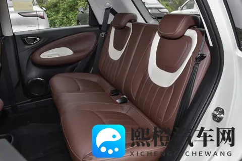 王者荣耀西施因为欠债而无法偿：汽车新星西施欠债，行业波动如何应对？-2