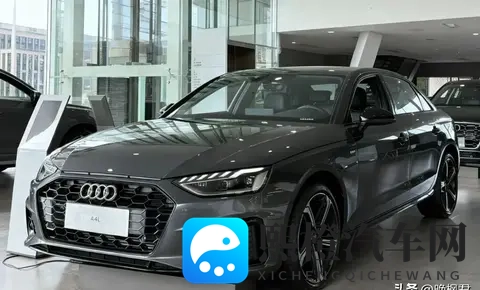 豪华B级车崩盘，捡漏还是踩坑，一场豪赌开始了-3