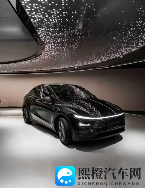 特斯拉Model Y长续航后驱版上市!2885万起,续航达821公里-2